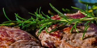 Dania na południu Europy