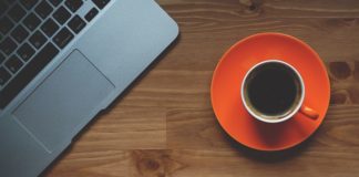 Chomik, co może jeść?