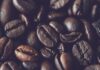 Co to znaczy Arabica? Co to znaczy Arabica?