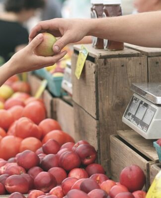 Gdzie się kupuje zwierzęta?