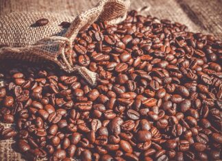 Czy fasola mung Wzdyma?