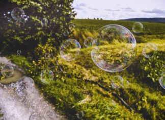 Czego nie wrzucać do blendera?