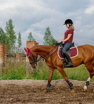 Jak długo można trzymać psa w kojcu?