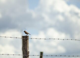 Czy można jeździć samochodem w kołnierzu ortopedycznym? Czy można jeździć samochodem w kołnierzu ortopedycznym?