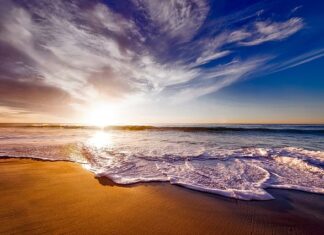 Co daje picie wody z miodem i cynamonem?