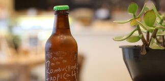 Czy kombucha oczyszcza organizm? Czy kombucha oczyszcza organizm?