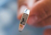 Sygnet męski – symbol elegancji i siły Sygnet męski